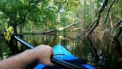 Caimán atacando a kayak en Carolina del Norte.