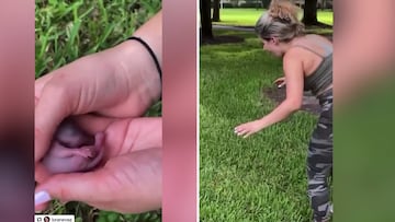 Esta mujer rescató y adoptó este animal sin saber lo que era: no se creía lo que creció después...