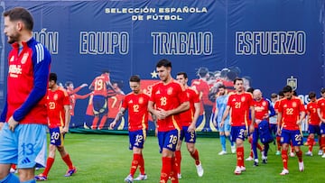 13/06/24
FOTOGRAFIA OFICIAL DE LA SELECCION ESPAÑOLA ESPAÑA 
EUROCOPA 2024
ZUBIMENDI