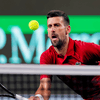 Sinner - Djokovic, en directo: final del Masters 1.000 de Shanghái hoy en vivo online